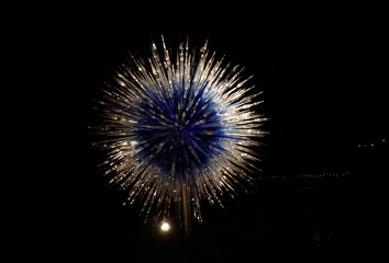 Chihuly glass art